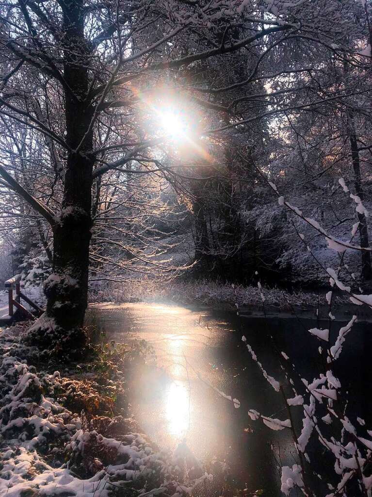 <Soloanlauf>Der erste Schnee</Soloanlauf><Text> fasziniert immer wieder, weil er die Welt innerhalb kurzer Zeit so ganz anders aussehen lsst. Das fand auch Bndicte Franki, der beim Spaziergang am Weiher der BDH-Klinik in Waldkirch das Lichtspiel der Sonnenstrahlen einfing.</Text>