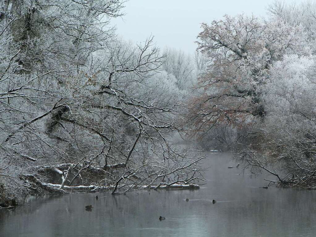 Eine Landschaft wie gemalt. Cornelie Ferdinand fotografierte sie in den Rheinauen.