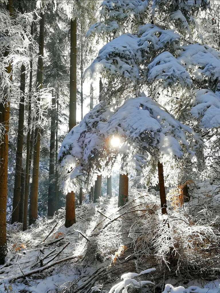 Sonntagsspaziergang in Freiamt