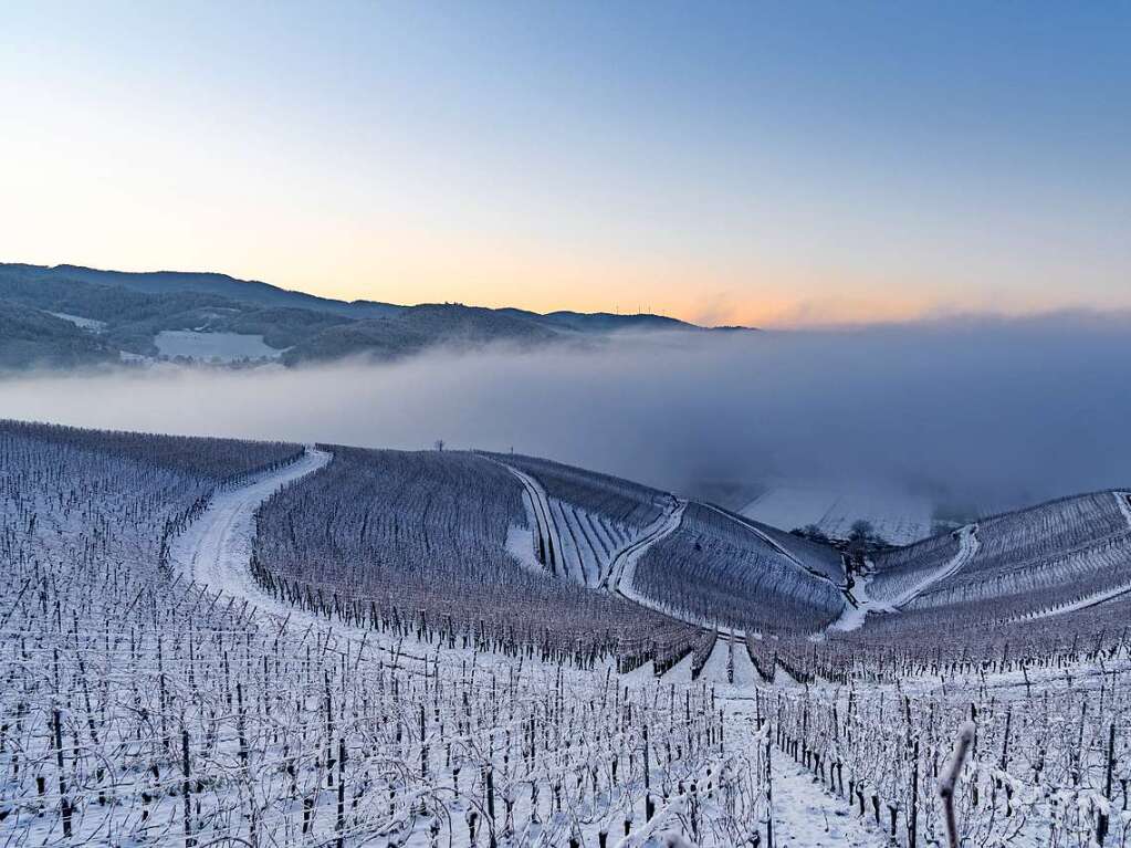 Nebel und Winter ber den Buchholzer Weinbergen sorgten fr ein Motiv, dass nicht nur Fotograf Luca Szwirblies angesprochen hat.