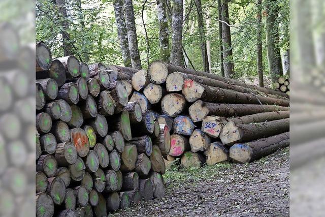 98 Prozent des Holzes sind verkauft