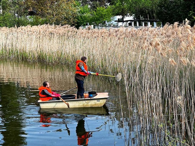 Den Brandweiher wollen die Mrkter wieder auf Vordermann bringen.  | Foto: Stefan Hofmann