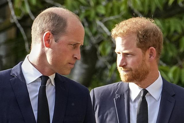 Prinz Harry wirft Bruder William krperlichen Angriff vor