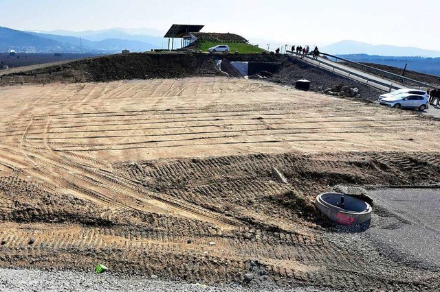 Rund 12.000 Tonnen Grnabfall jhrlich wollte die ASF sammeln und verwerten.   | Foto: Thomas Kunz