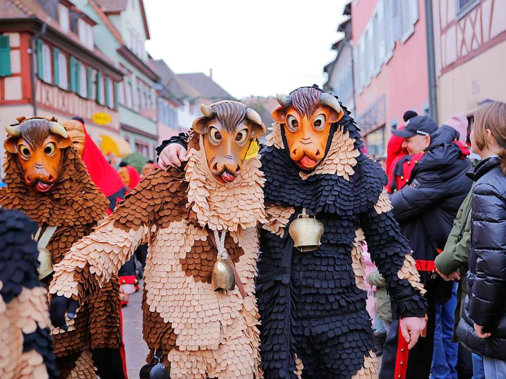 In Ettenheim haben sich Hs- und Kleidlestrger aus ganz Baden-Wrttemberg getroffen.