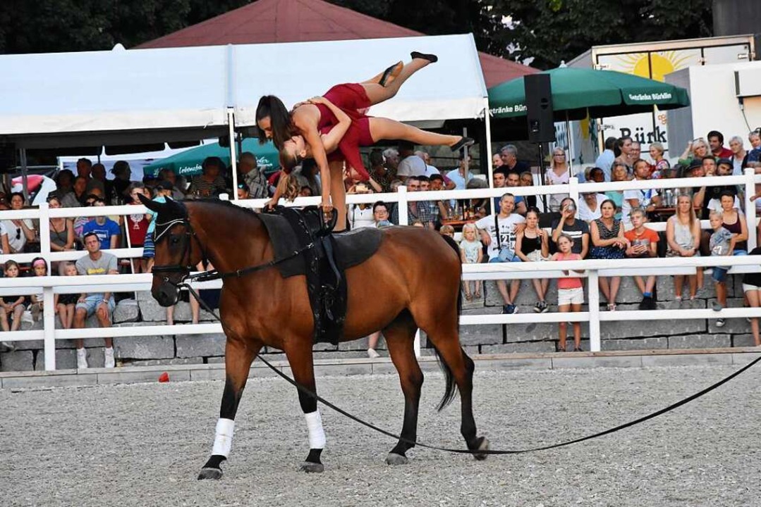 Anmutige Akrobatik beim Gundelfinger Reitturnier   | Foto: Andrea Steinhart