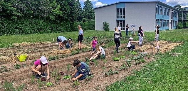 Schlerinnen und Schler pflegen den Schulgarten in Denzlingen.  | Foto: Gemeinde Denzlingen