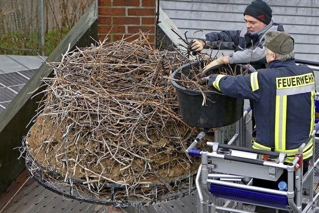 Alles hergerichtet fr Strche auf Kirchendach