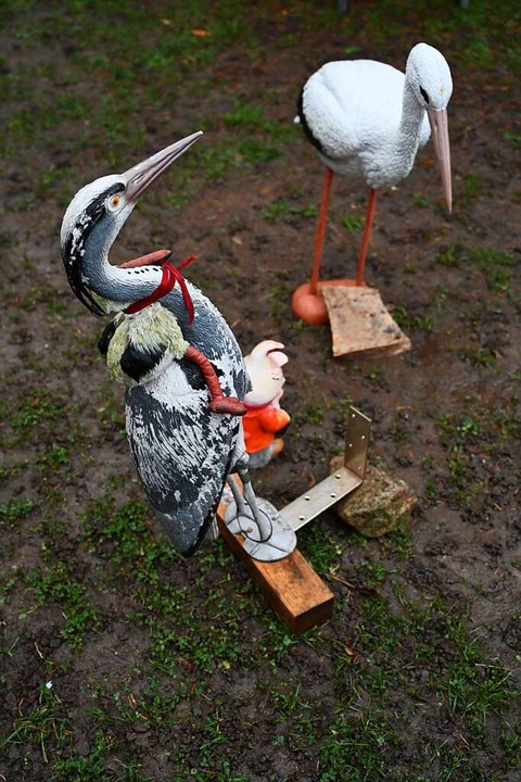 Diese Vgel kennen alle Passanten.  | Foto: Thomas Kunz