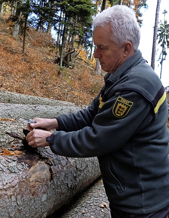 Christfried Gottschling  soll weiterhin den Gemeindewald betreuen.  | Foto: Birgit-Cathrin Duval