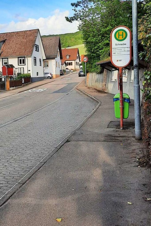 Damit mehr Menschen Bus fahren, macht Pfaffenweiler ein spezielles Angebot.  | Foto: Sophia Hesser