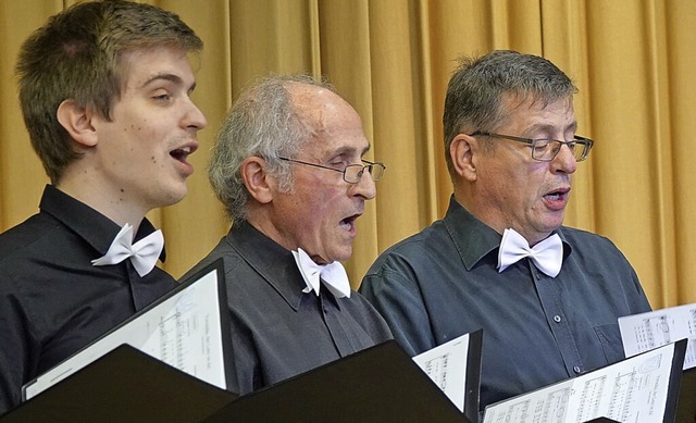 Gut gesungen: Der Mnnerchor vom Gesan...in der Gemeindehalle Willaringen auf.   | Foto: Peter Schtz