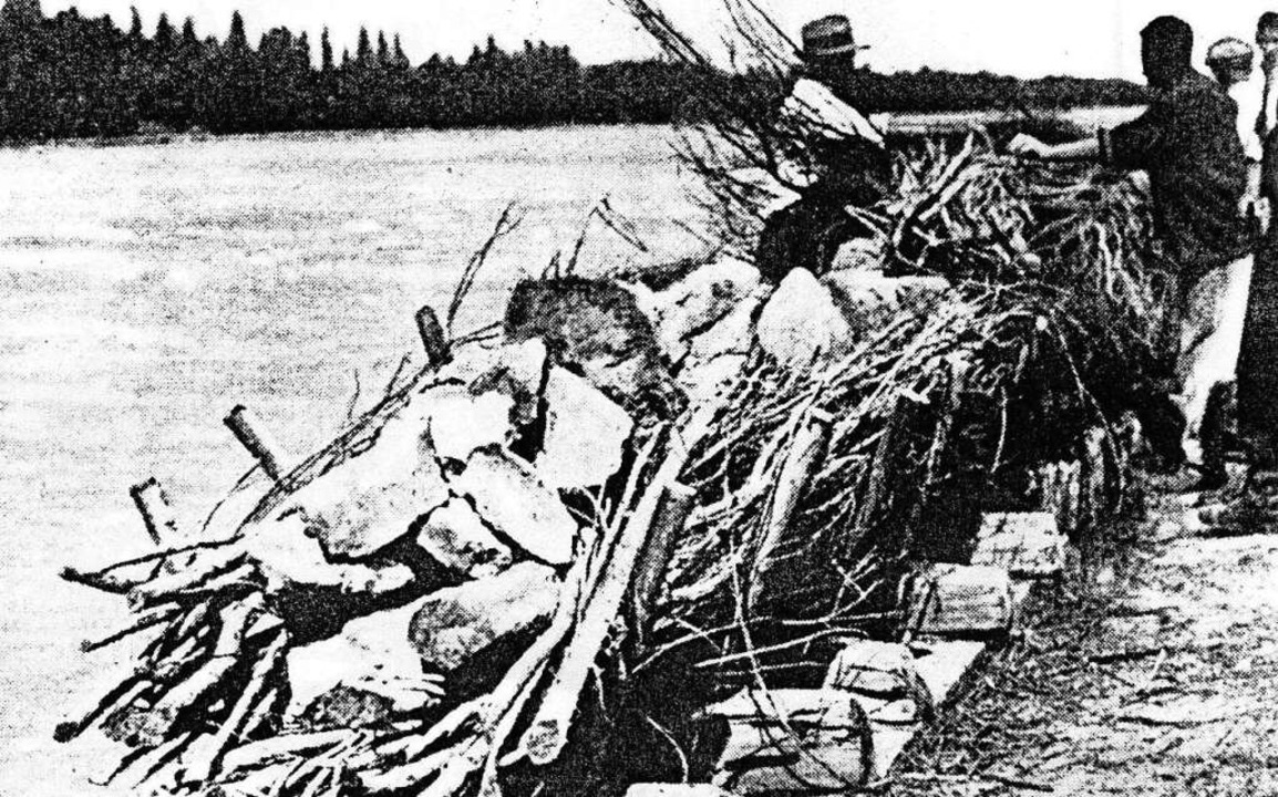 Am Rheinufer wurden Steine und Faschin...&#8222;Senkwrsten&#8220; verarbeitet.  | Foto: REPRO: Manfred Lange