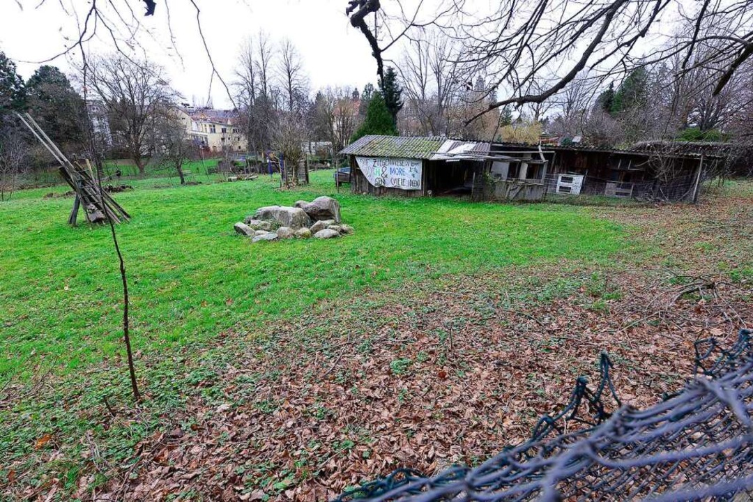 Ob die ehemalige Ziegenwiese wieder ei...riedhof (rechts außerhalb des Bildes).  | Foto: Ingo Schneider