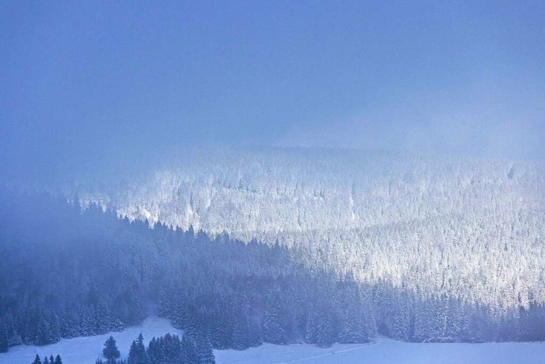 In der vergangenen Woche hat der Winte...n unternimmt er einen weiteren Anlauf.  | Foto: Philipp von Ditfurth (dpa)