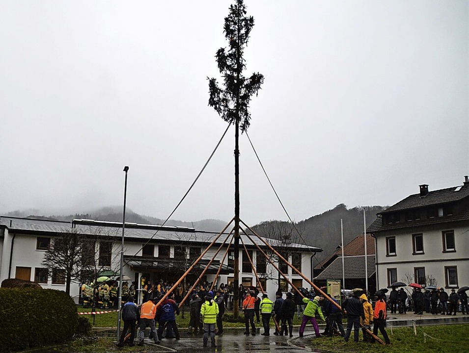 19,90 Meter misst der Utzenfelder Narrenbaum.  | Foto: Edgar Steinfelder