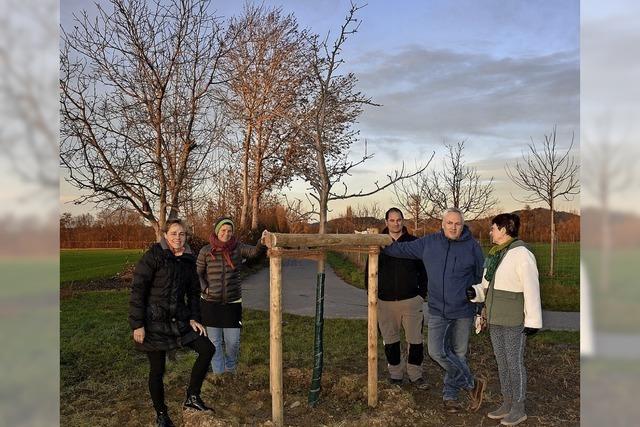 Naturfreunde pflanzen Apfelbaum