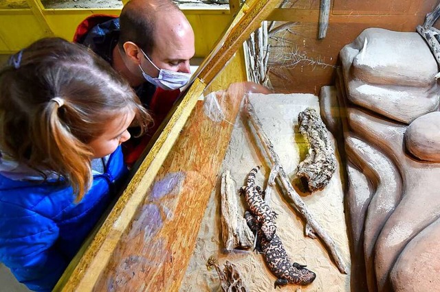 Giftige Tiere waren im zurckliegenden...ktion im  Museum fr Natur und Mensch.  | Foto: Thomas Kunz