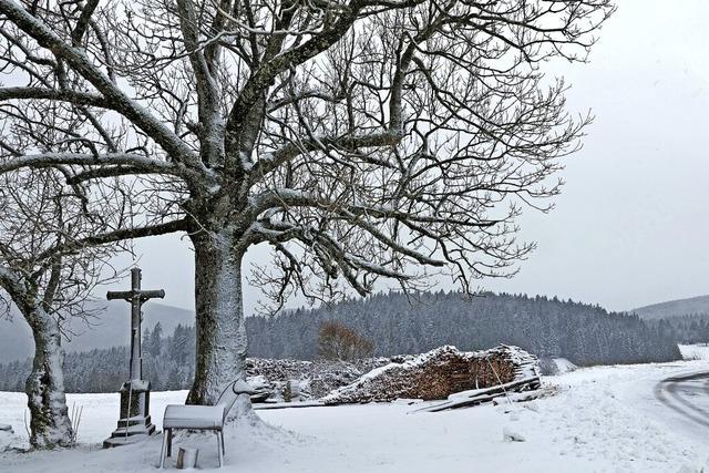 Endlich wieder Schnee!