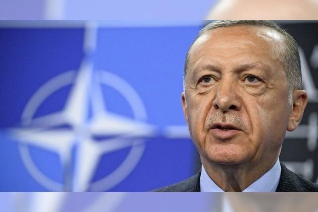 Erdogan verrgert die Nato