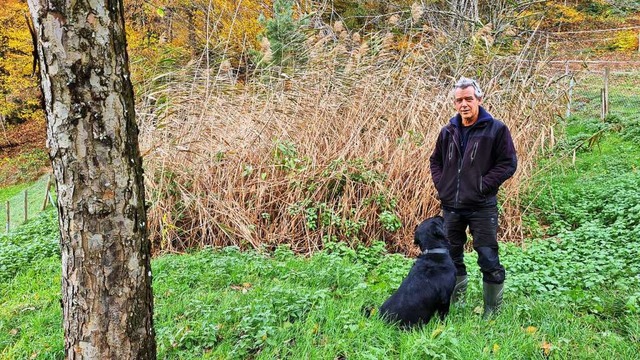 Die gute Reinigungsleistung der Pflanz...uch von einem Ingenieurbro besttigt.  | Foto: Gerald Nill