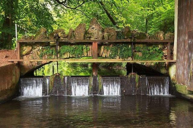 Englischer Garten (Hugstetten)