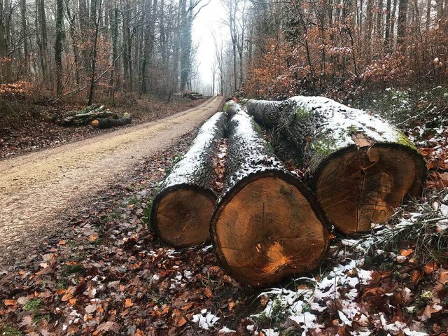 Am Wegrand gelagertes Holz weckt Begehrlichkeiten bei Holzdieben.  | Foto: Jutta Schtz