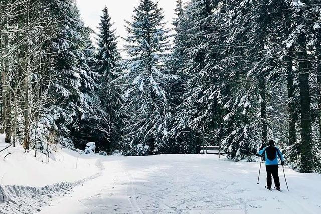 Der Schnee im Schwarzwald reicht jetzt für Pisten und Loipen