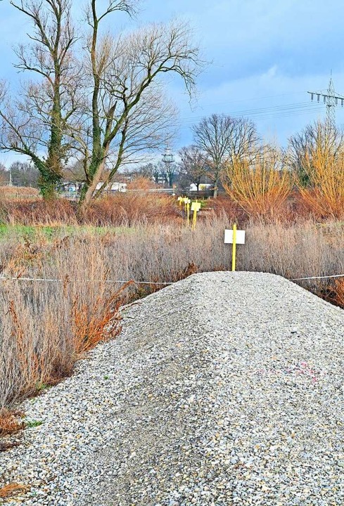 Auch eine Art Damm: Dieser Wall schtzt die Gasleitung darunter.  | Foto: Michael Bamberger