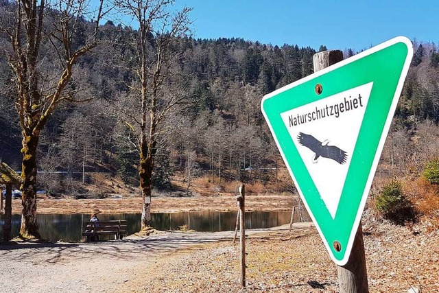 Der Nonnenmattweiher mit seiner Torfin...res touristisches Kleinod in Heubronn.  | Foto: Gerald Nill