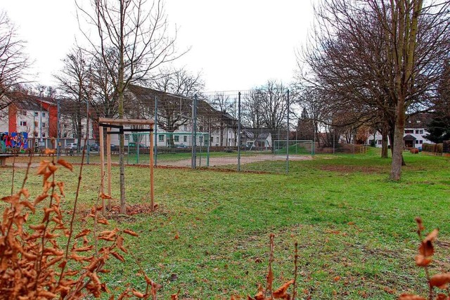 Auf dem Bolzplatzareal an der senberg...orgte fr Diskussionen im Gemeinderat.  | Foto: Ruth Seitz