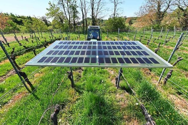Die Vino-Photovoltaik bleibt ein Aufregerthema im Munzinger Rat