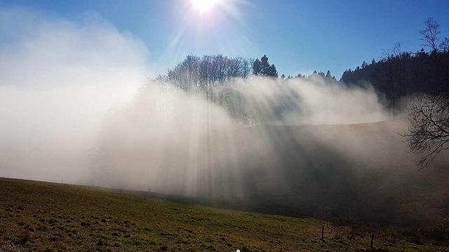 Aitern wrde gern von der  Frderung f...ngepasstes Waldmanagement profitieren.  | Foto: Gerald Nill