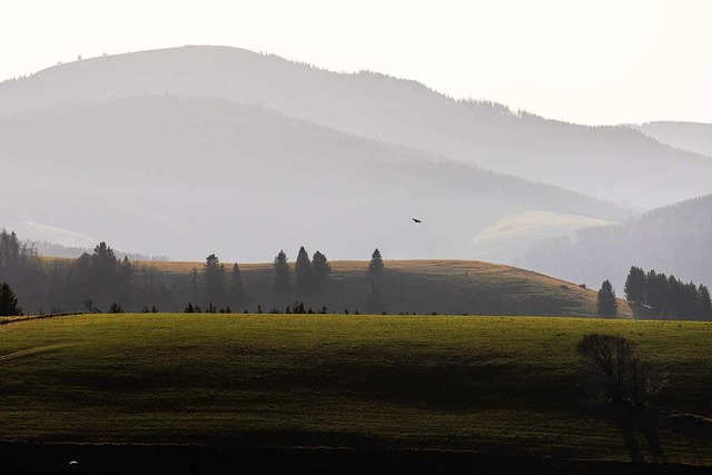 Der Schwarzwald im Januar bei Oberried...ffte Schnee fiel dann in dieser Woche.  | Foto: Philipp von Ditfurth (dpa)