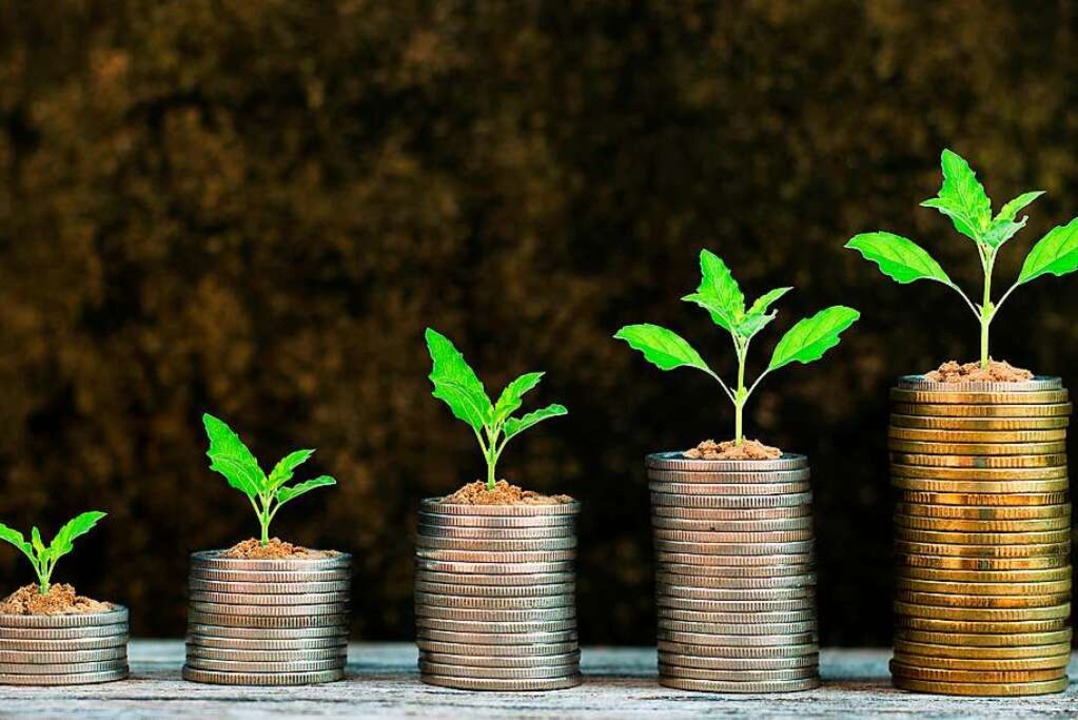 Immer mehr Menschen wollen ihr Geld nachhaltig anlegen.  | Foto: sakravee (stock.adobe)