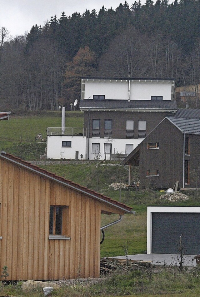 Eine sanfte Entwicklung und Nachverdic...Bauleitplanung der Gemeinde Dachsberg.  | Foto: Karin Stckl-Steinebrunner