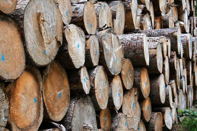 Die Entwicklung der Holzpreise wird vom Forstbetrieb  positiv bewertet.  | Foto: Martin Wendel