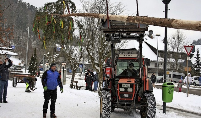 Mittels Motorkraft wurde der Todtmooser Narrenbaum  vor dem Rathaus aufgestellt.  | Foto: Andreas Bhm