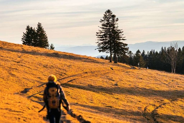 Der Schwarzwald bietet viele schne Wege zum Wandern.  | Foto: Philipp von Ditfurth (dpa)