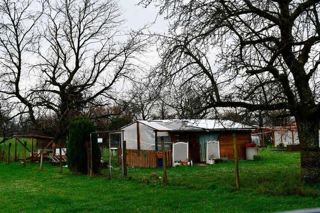 In Rheinfelden-Herten sorgen scheinbar illegal bebaute Gartenhütten für Ärger