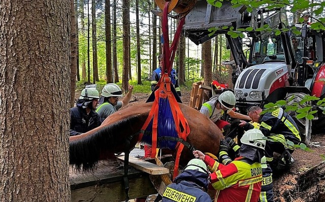 Die Rettung eines Pferdes, das in Hnn...n aus Murg-Niederhof beteiligt waren.   | Foto: Feuerwehr Murg