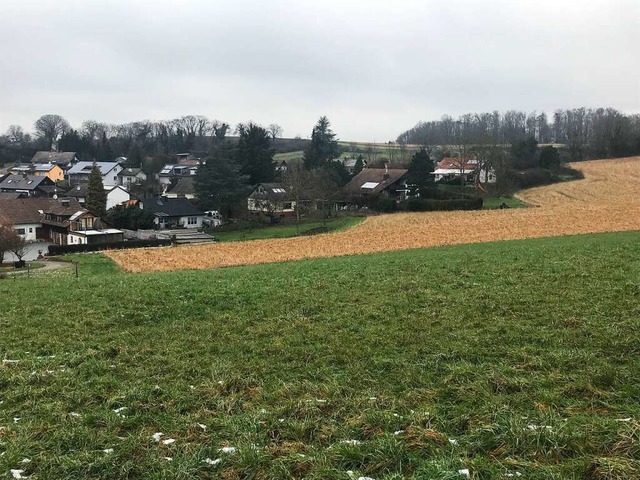 Auf Wiesen und ckern im geplanten Bau...nwohner. Das knnte Probleme schaffen.  | Foto: Jutta Schtz