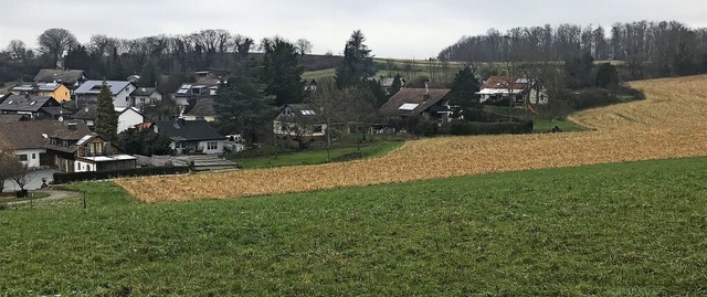 Auf Wiesen und ckern im geplanten Bau...ohner. Das knnte Probleme schaffen.    | Foto: Jutta Schtz