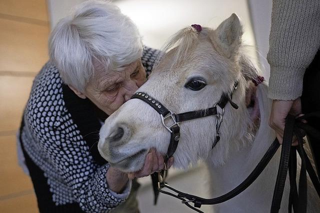 Pony-Besuch im Pflegeheim