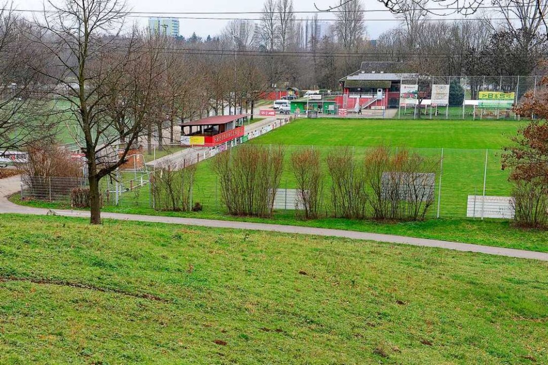 Seine Flchen im Dietenbachpark mchte der FFC gern mit Brunnenwasser bewssern.  | Foto: Ingo Schneider
