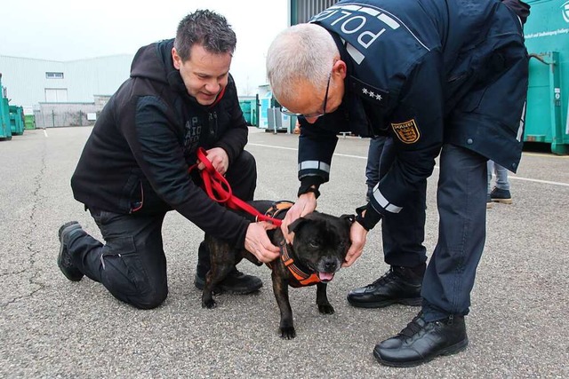 Polizeihundefhrer Armin Rtteler mit ...nd seinem Staffordshire Terrier Nero.   | Foto: Michael Saurer