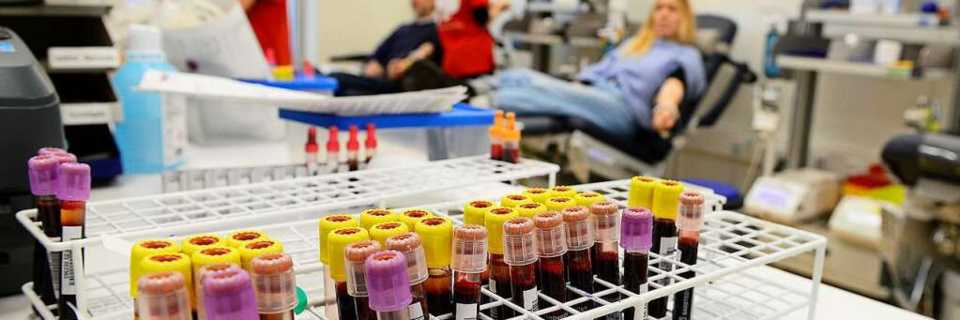 Blutspenden an der Uniklinik Freiburg: Gar nicht mal so schwer