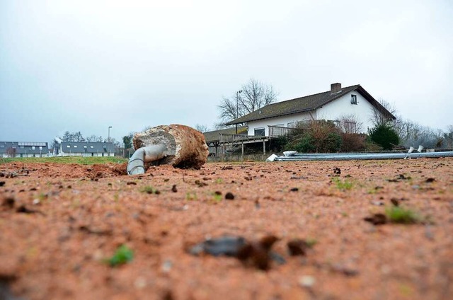 Der Sportplatz  Ehrenstetten liegt derzeit verlassen da.   | Foto: Sophia Hesser