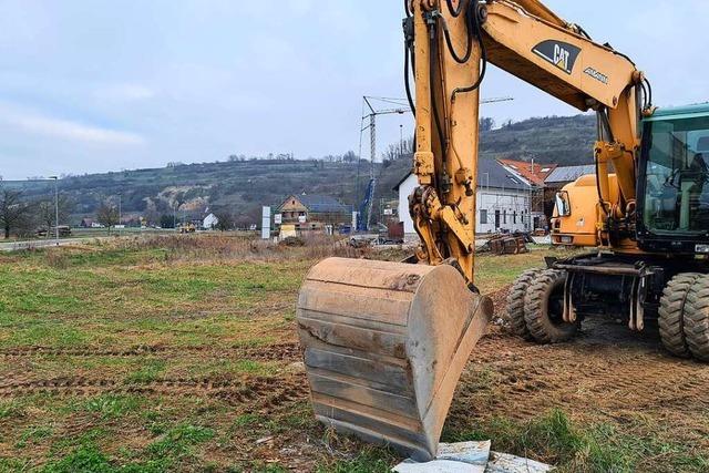 Breisach versteigert Bauplätze gegen Höchstgebot