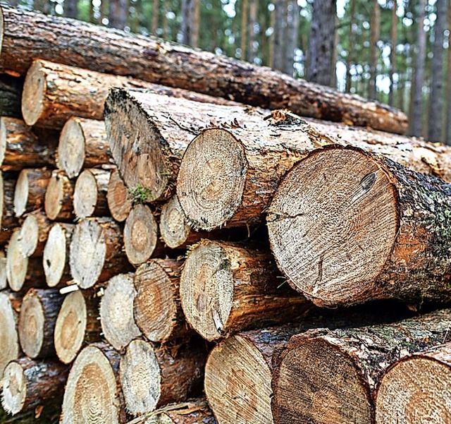 Auch die Holzvermarktung ist vertraglich geregelt.  | Foto: Patrick Pleul